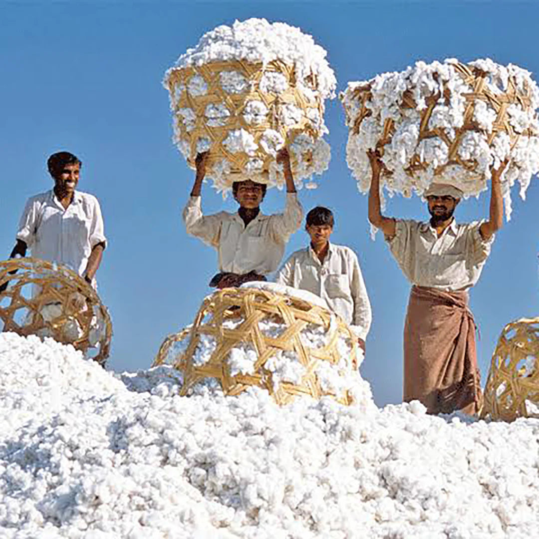 Indian cotton, History and culture